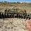 10'-john-deere-3-pt-disk-image-3