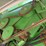 john-deere-9660-sts-image-25