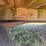 #2481-•-flat-rack-image-7