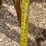 #2448-•-2015-kuhn-excelerator-8000-vertical-till-image-35