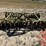 10'-john-deere-3-pt-disk-image-2