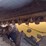 caterpillar-299d2-image-15