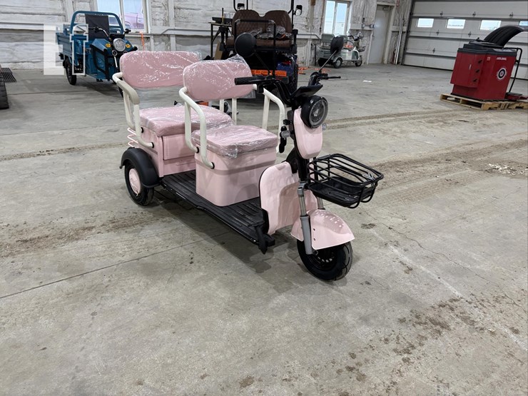 2026-irgc40-mini-golf-cart-#3-(pink)-10090-image-3
