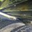 2002-king-trail-image-11