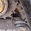 caterpillar-299d2-image-14