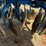 lemken-rubin-10/600kua-image-13