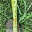haugen-pallet-forks-image-7