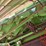 john-deere-s670-image-35