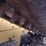 caterpillar-299d2-image-21