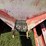 #2458-•-fertilizer-spreader-image-13