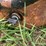 lawn-roller-image-6