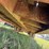 #46218-•-32ft-nabors-lowboy-trailer-|-no-title-image-9