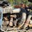 2006-kenworth-w900-image-43