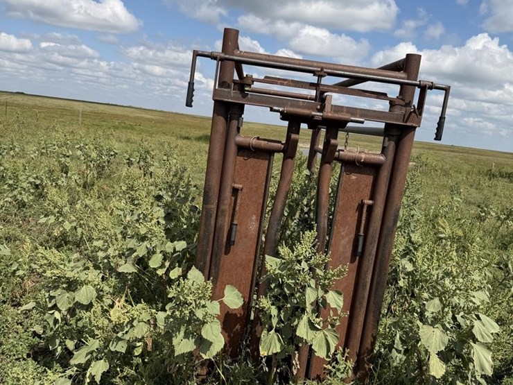 cattle-chute-8943-image-8