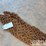 5/8"-approx-25'-chain-image-4
