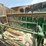 #2359-•-lippman-t-1260-jaw-and-roll-crushers-image-160