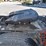 2009-international-durastar-truck-image-23