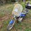 #25254-•-2006-kawasaki-eliminator-125-motorcycle-image-1