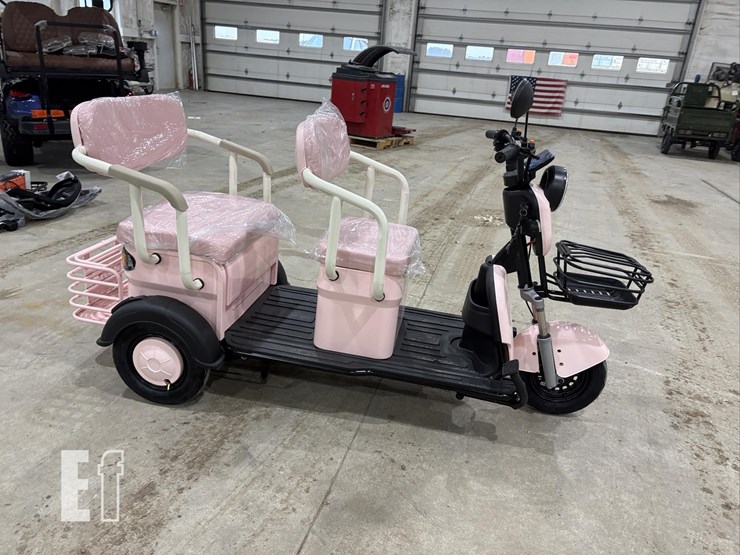 2026-irgc40-mini-golf-cart-#3-(pink)-10090-image-4