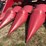 2008-case-ih-2606-image-6