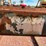 #656-•-lot-656-image-7