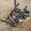 john-deere-no.5-image-2