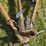 2004-cargo-wells-image-11