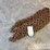 5/8"-approx-25'-chain-image-3