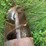 auger-image-9