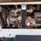 2012-doosan-g25-image-2