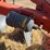 international-145-image-5