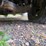 2016-ford-f150-image-16