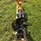caterpillar-303-image-1