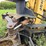 deere-693b-image-15