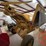 2016-vermeer-bpx9000-image-16