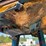 ford-tractor-image-20