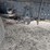 #2332-•-2021-isuzu-16'-box-truck-image-75