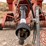 hesston-4910-image-7