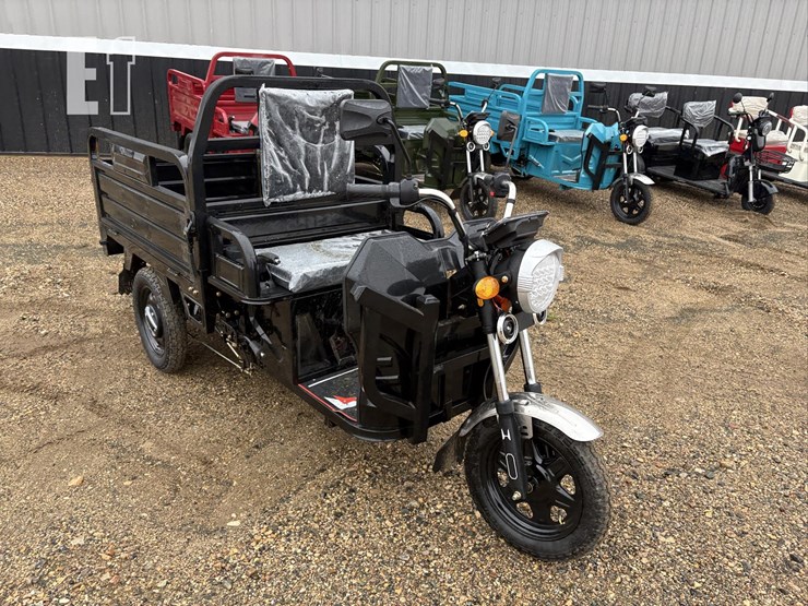 2026-iret13-electric-tricycle-#4-(black)-10094-image-3