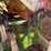 #2458-•-fertilizer-spreader-image-9