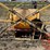 century-3-point-sprayer-image-4