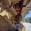 2003-caterpillar-d4g-xl-image-18