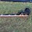 #109-•-mini-x-hedge-trimmer-image-2