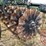 summers-mfg-supercoulter-plus-image-24