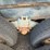 #40120-•-prentice-knuckleboom-loader-for-parts/repair-image-51