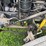 1996-kenworth-t800b-image-15