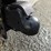 2027-southland-sl714-14k-image-9