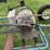auger-image-7