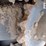 2019-takeuchi-tl8-image-14