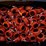 #40540-•-sprinkler-heads-and-various-grooved-couplings-image-7